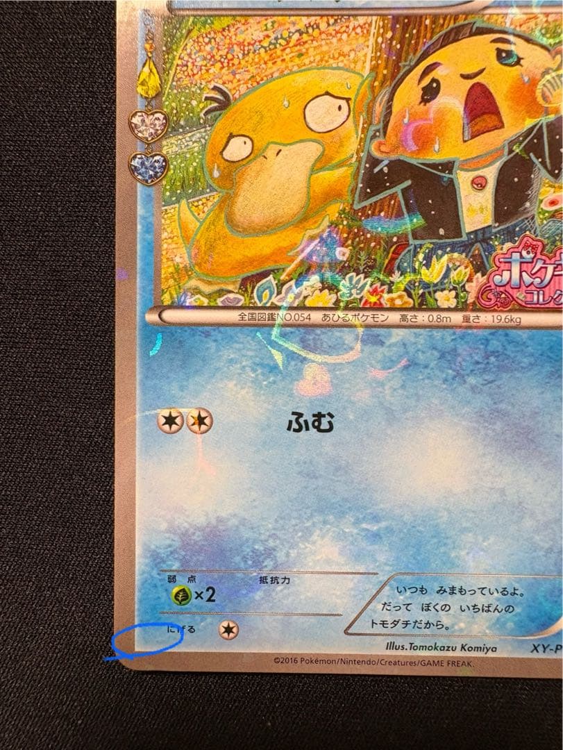 XY-P コダック_ポケキュンコレクション キャンペーン　増田順一 コラボ P…