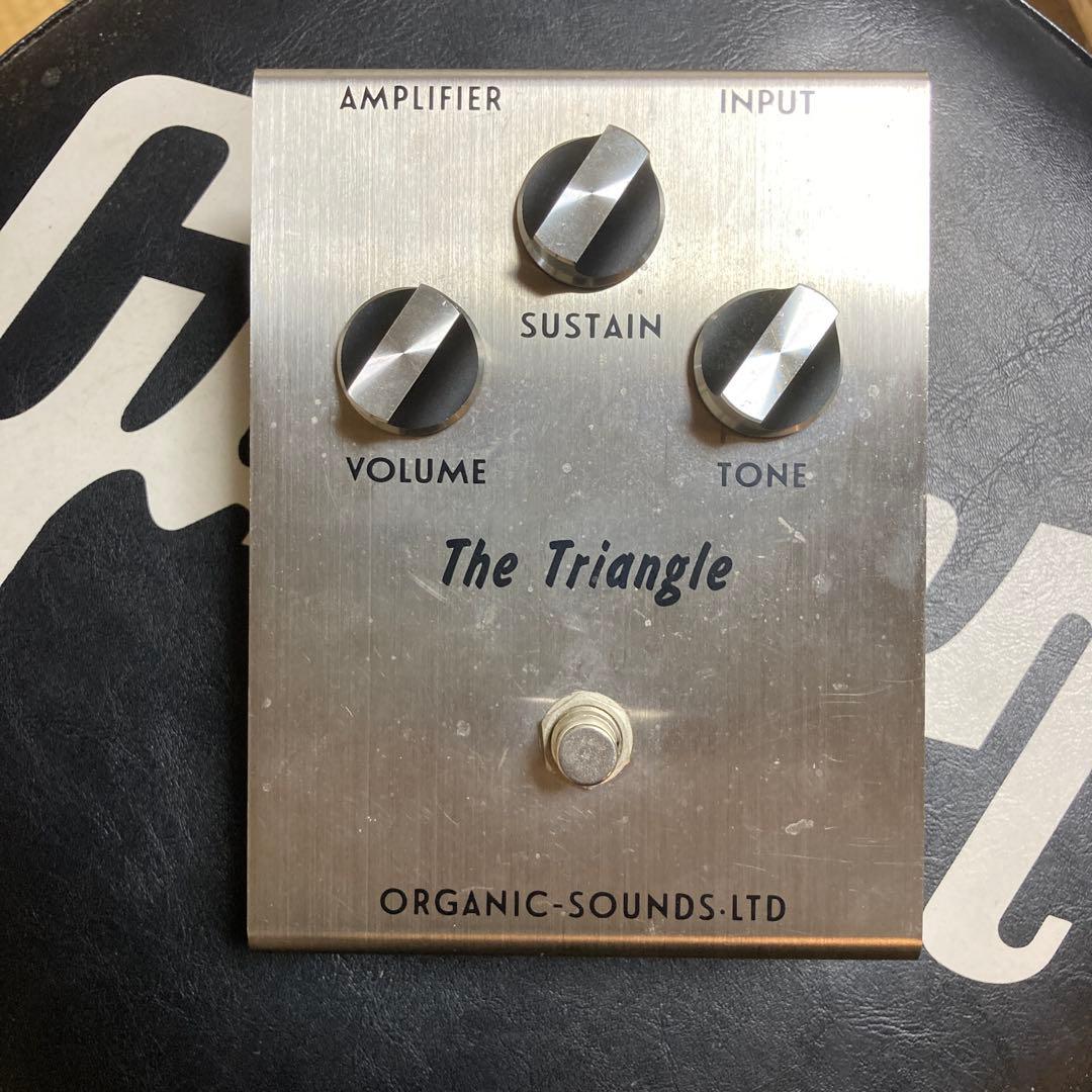 ギター Organic Sounds The Triangle