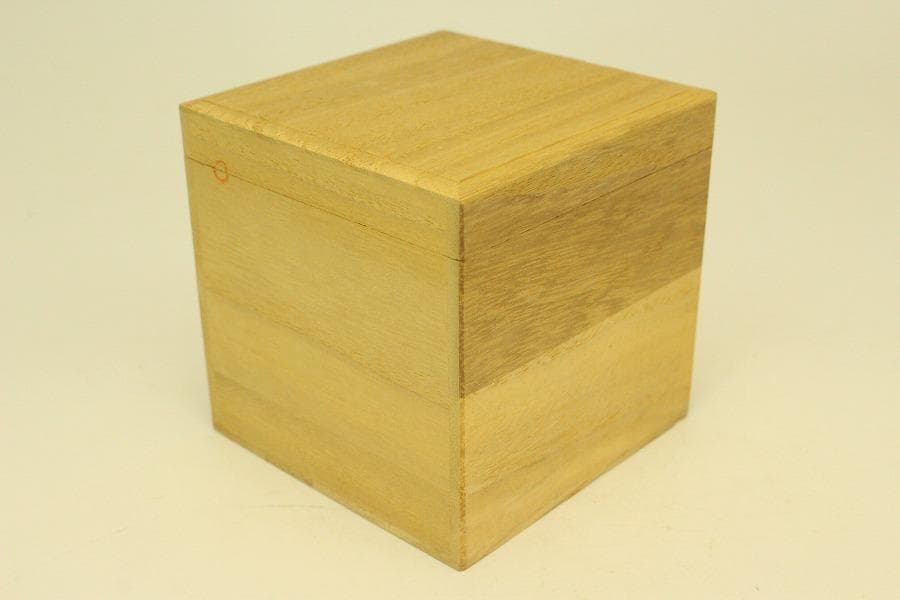 茶道具 シダ蒔絵 棗 お稽古 美品(A950)