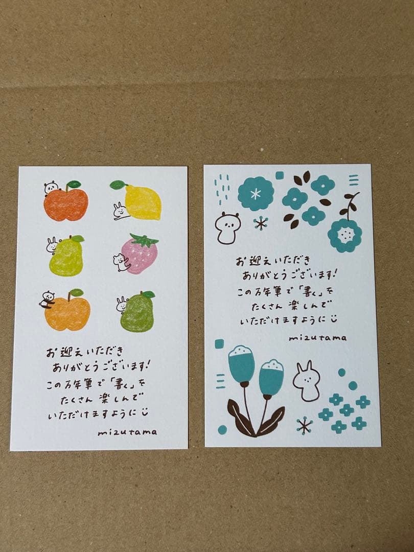 d*4様 mizutama 万年筆 アンコーラ 限定 ２本セット