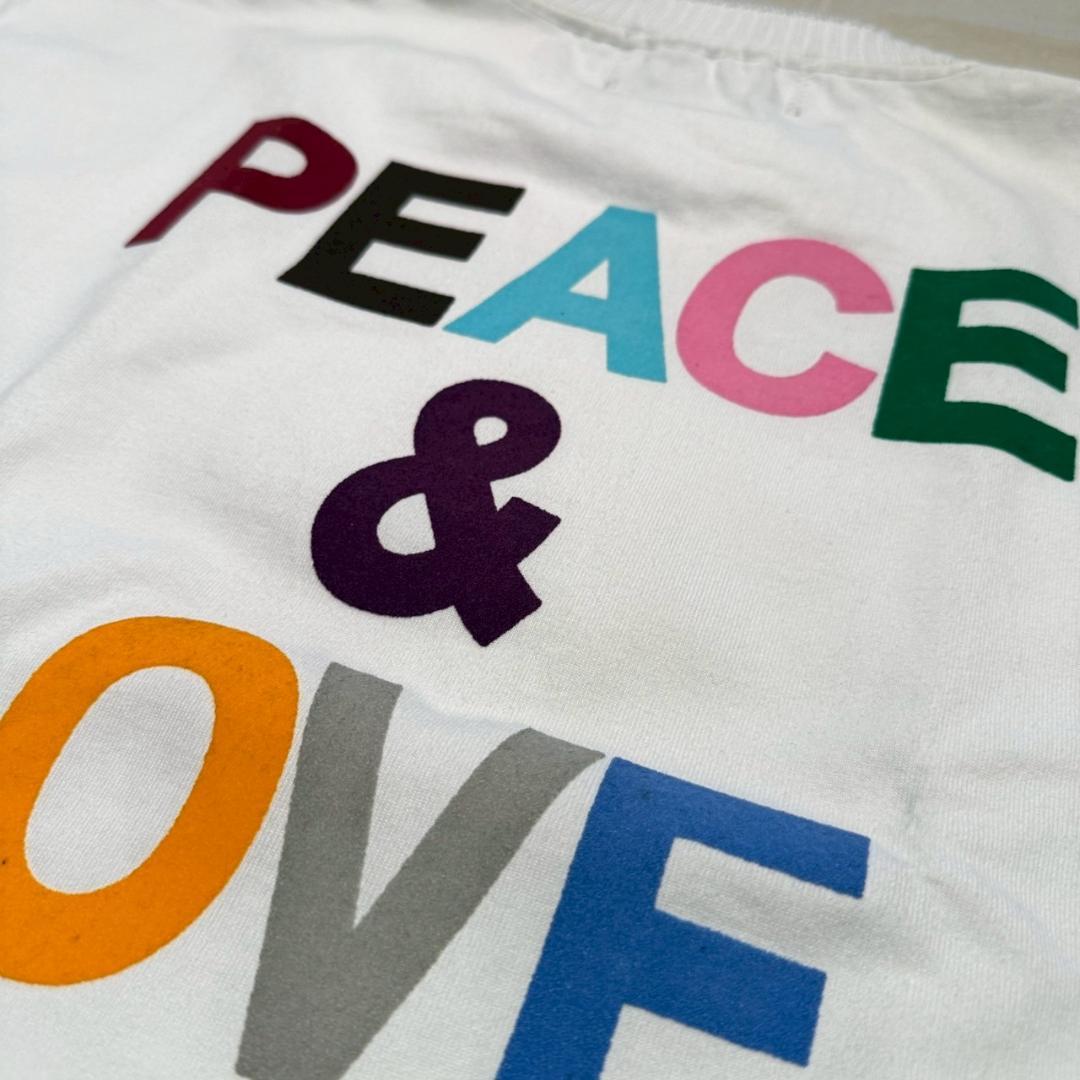 25ss新品 Perfect ribs パーフェクトリブス ALMTシャツ XL