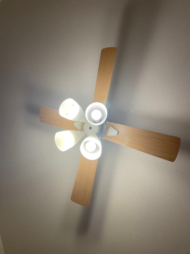 【電球付】LOWYA ロウヤ 4灯シーリングファン ナチュラル