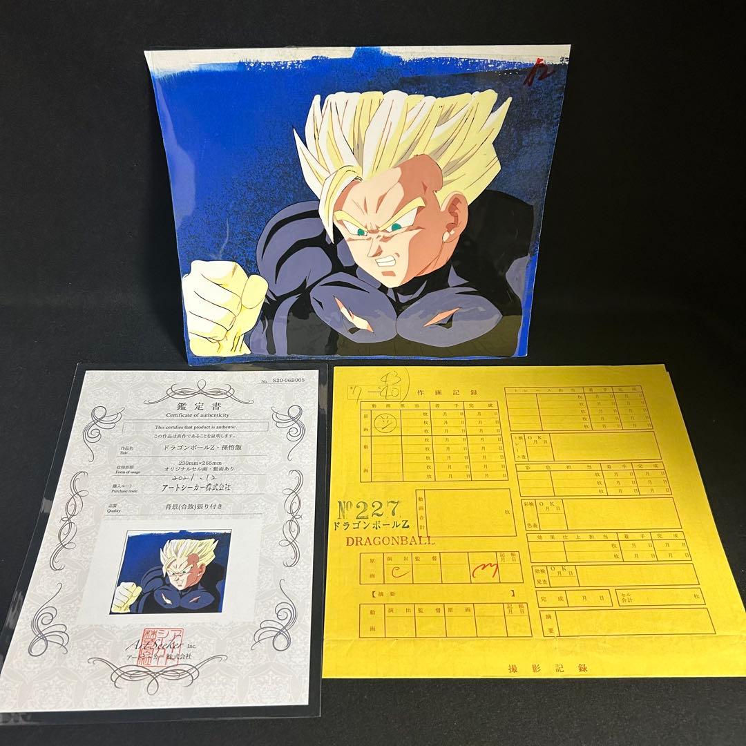 鑑定書付き ドラゴンボールZ セル画 孫悟飯 当時物 アニメ原画 一点物 背景
