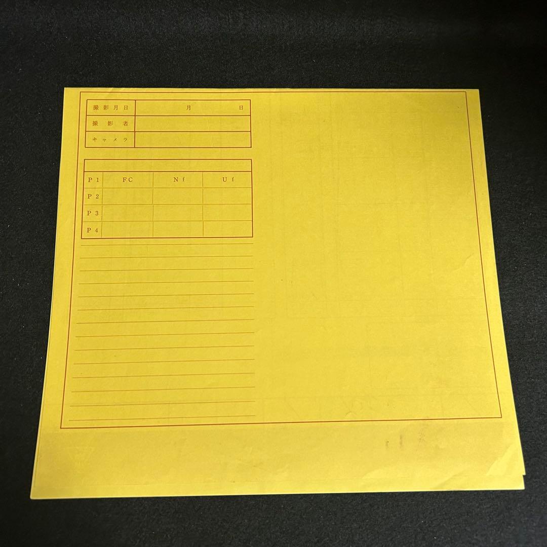 鑑定書付き ドラゴンボールZ セル画 孫悟飯 当時物 アニメ原画 一点物 背景