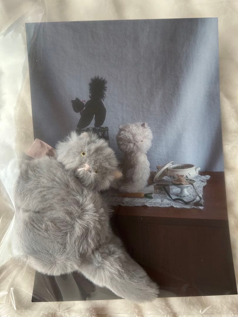 さて ぬいぐるみ