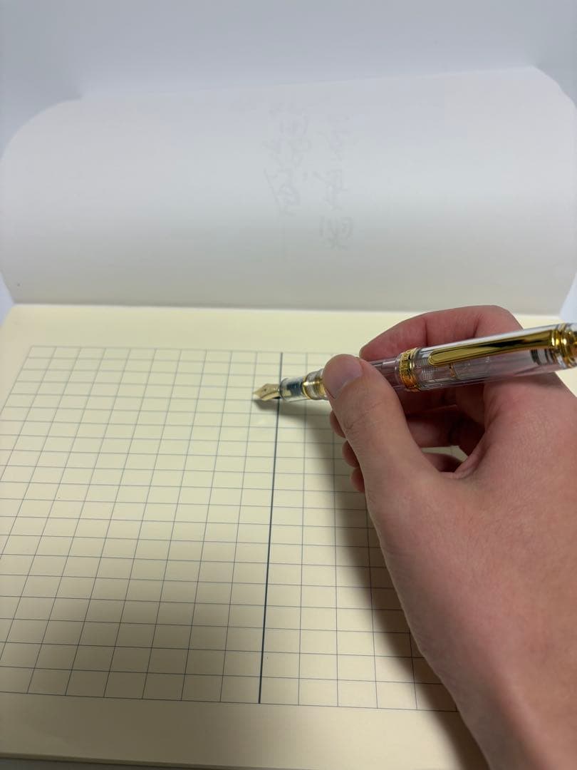 NAGASAWA｜オリジナル万年筆｜プラチナ万年筆｜#3776センチュリー｜M