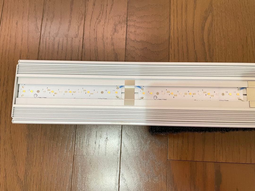 アクロ　ＴＲＩＡＮＧＬＥ　ＧＲＯＷ　９００　５０００ｌｍ　９０ｃｍ水槽　水草育成