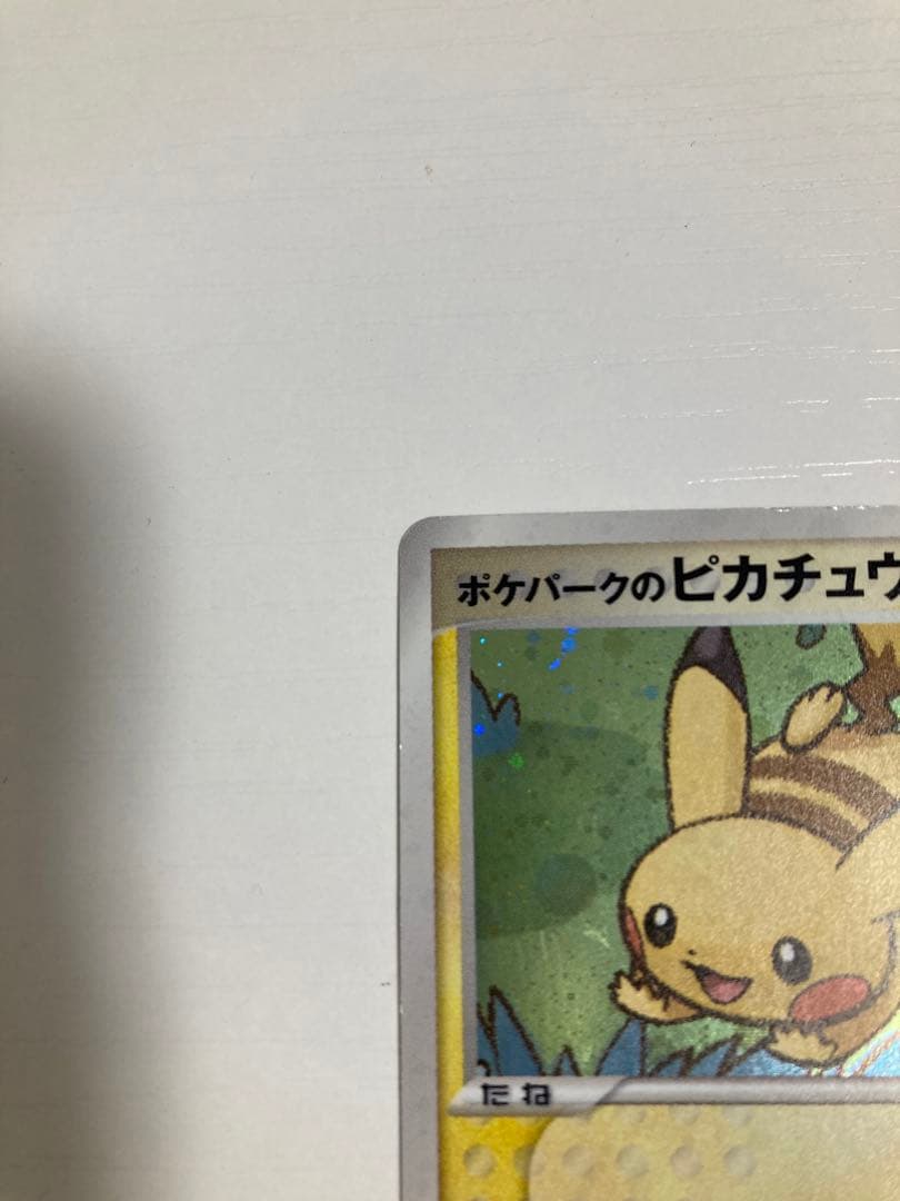 r*i様 ポケパーク　ピカチュウ