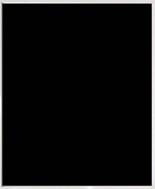 大型配送料込 希少 A0 ポスターフレーム 額縁 アート ウォール 絵画 油絵