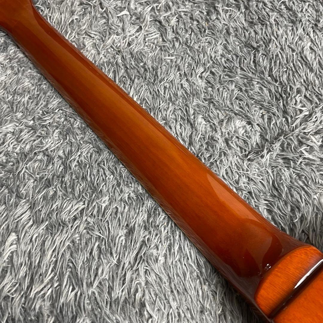 Bacchus Live Road レスポールタイプ