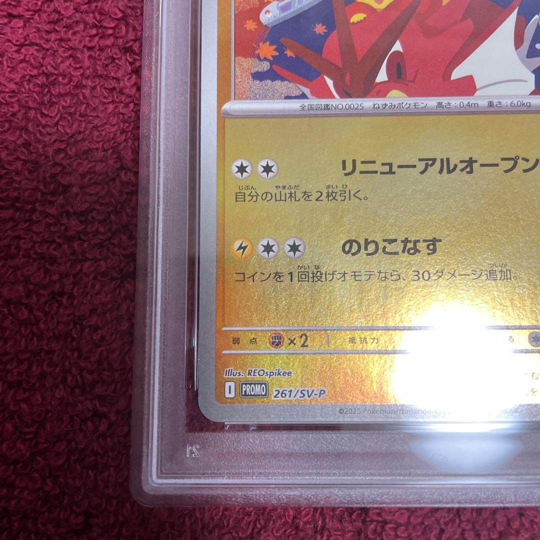 2025 ヒロシマのピカチュウ PSA10 プロモカード