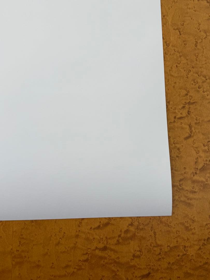 【新品】激レア　奈良美智　FireAid ポスター②