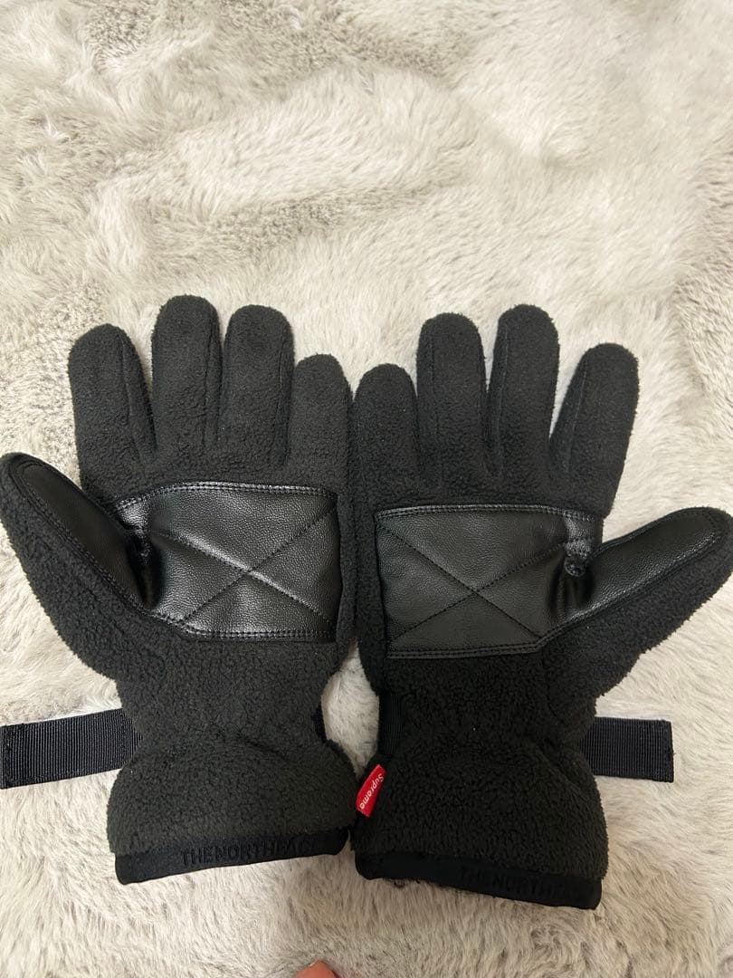 Supreme × THE NORTH FACE 手袋GORE-TEX RTG