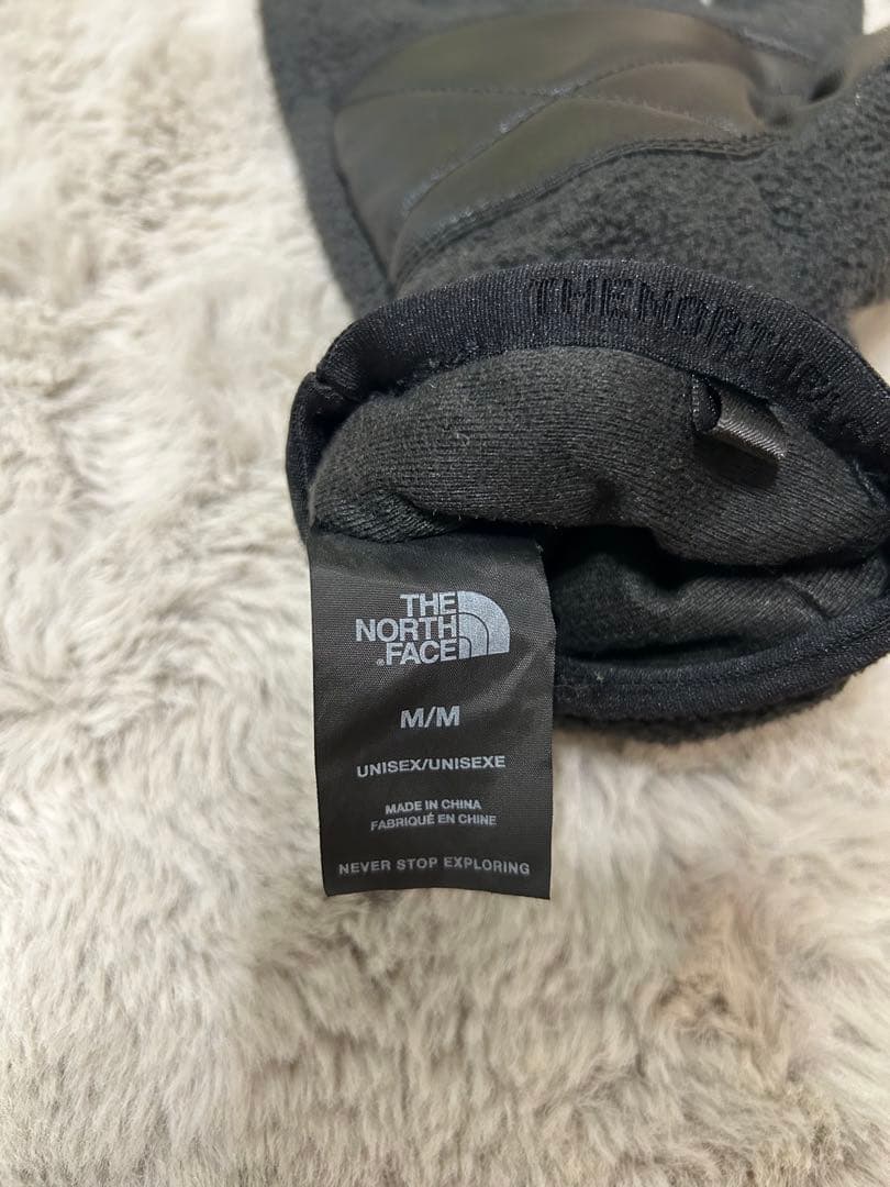 Supreme × THE NORTH FACE 手袋GORE-TEX RTG