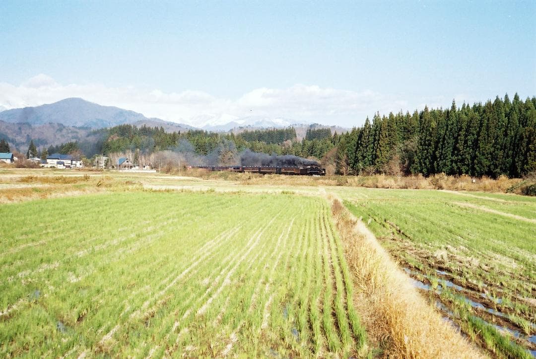 【実写確認整備品】キャノン L2／50㎜f2.8ゼブラ・フード付