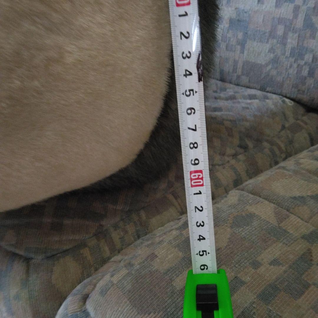 となりのトトロ♡特大トトロぬいぐるみ♡XXL♡スタジオジブリ