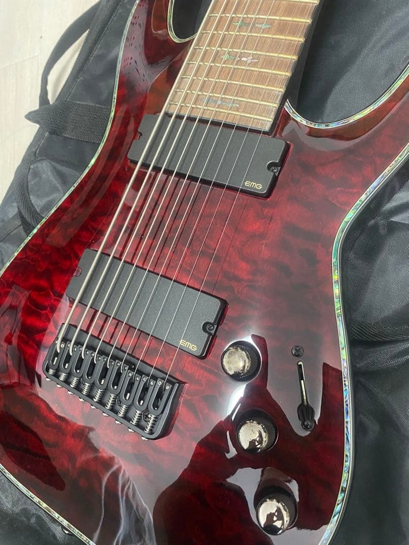 Schecter　HELLRAISER C-9 BCH