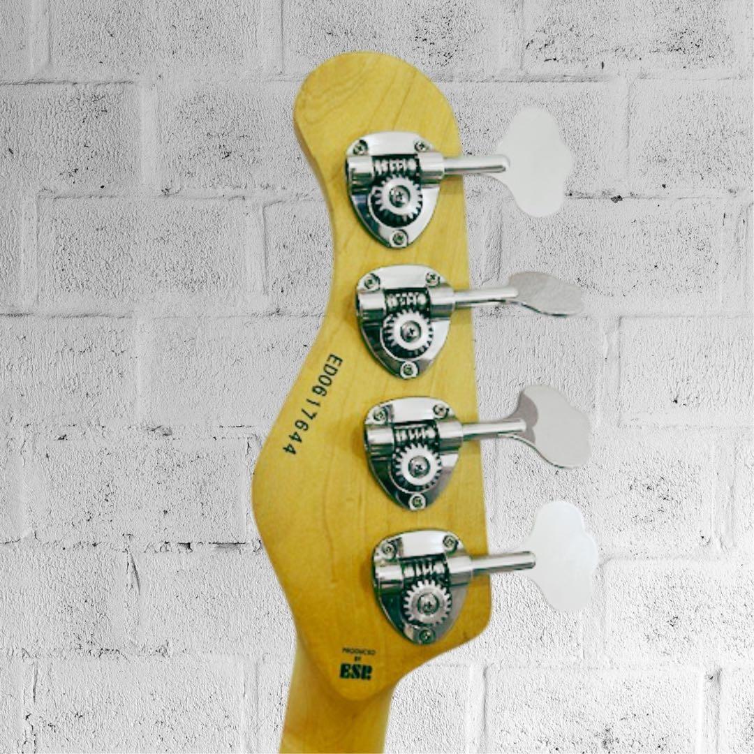 Edwards E‑T‑125BZ Bartolini PU＋GOTOHブリッジ