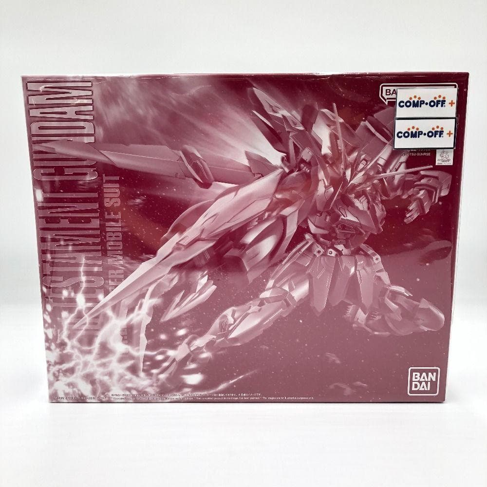 MG ZGMF-X12A/RGX-00 テスタメントガンダム ASTRAY