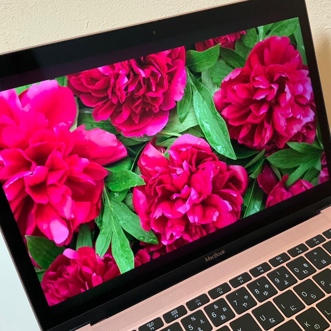 難あり Apple MacBook 12インチ ローズゴールド MNYM2J/A