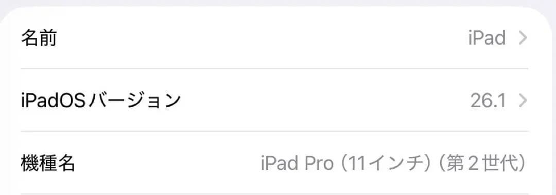 Apple iPad Pro（第2世代）128GB 11インチ A2228