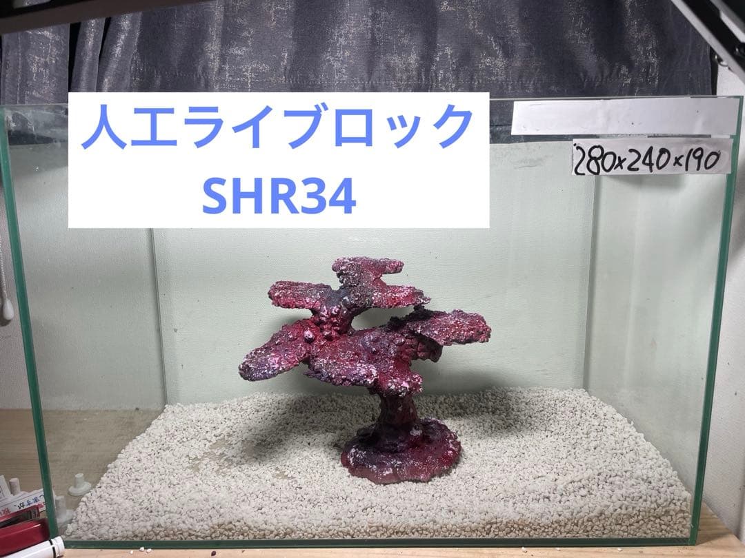 人工ライブロック　SHR34 アク抜き済み安心塗料使用