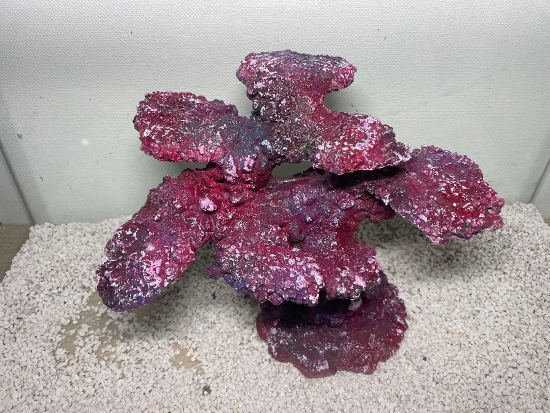 人工ライブロック　SHR34 アク抜き済み安心塗料使用