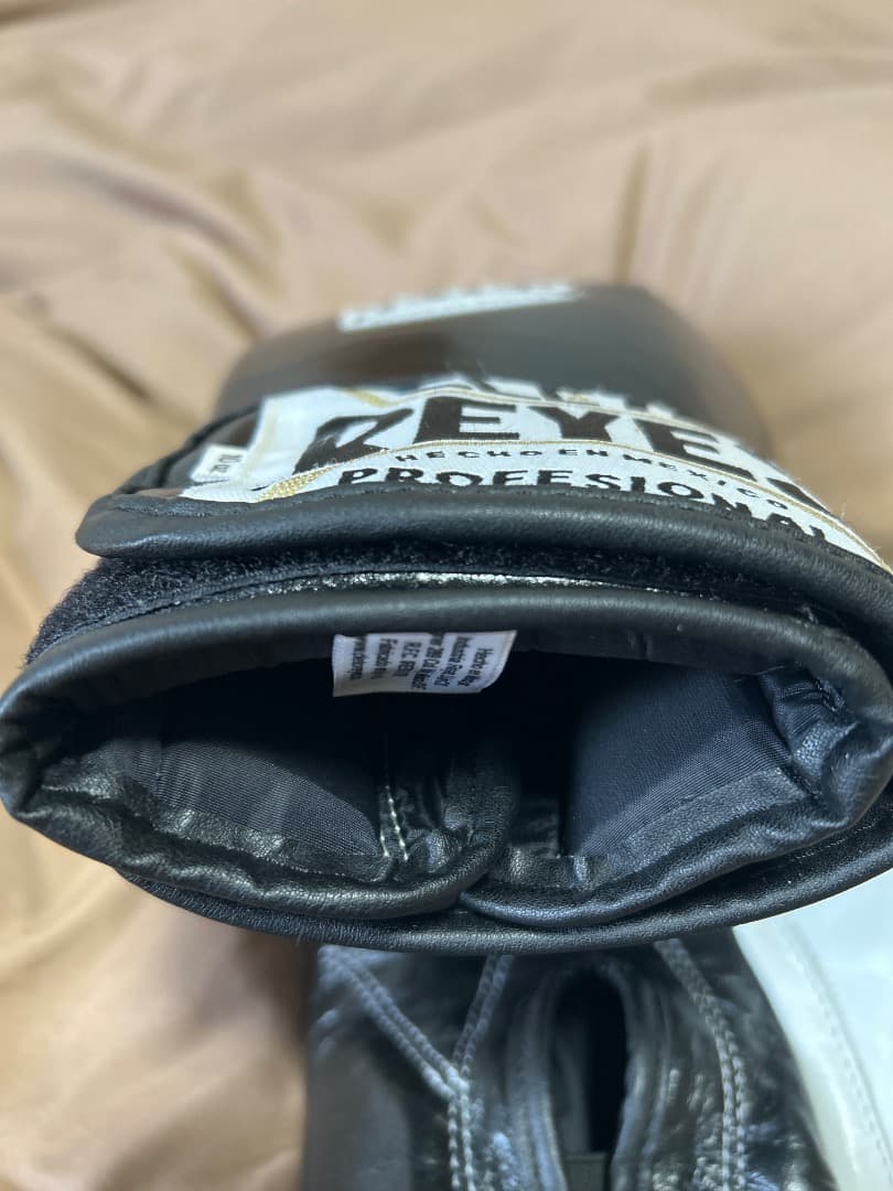 レイジェスボクシンググローブベルクロ式10オンス【超美品】