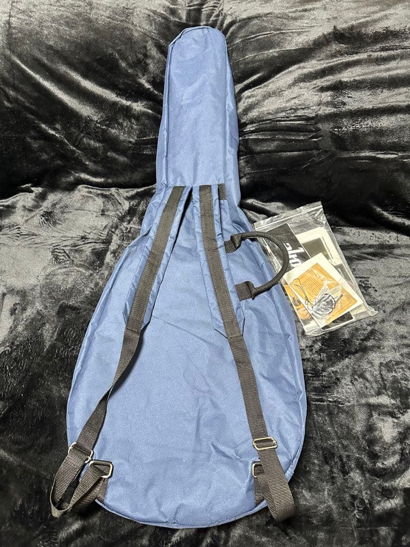 ギター epiphon es-335 pro BB