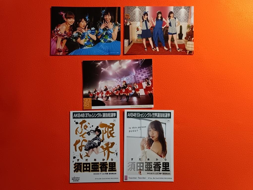 SKE48 須田亜香里 227枚+α 生写真(管理No.S-083)