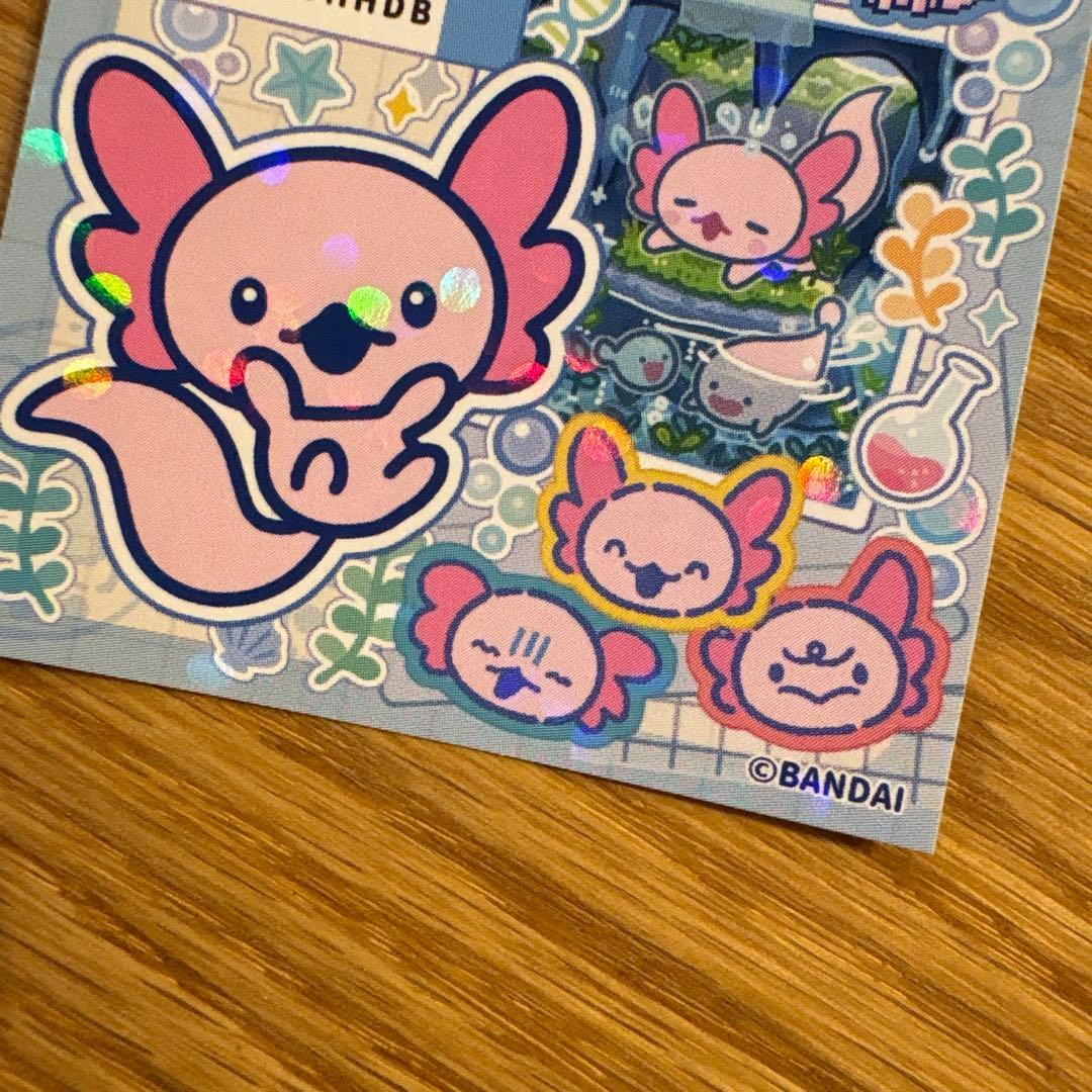 たまごっちパラダイス くちぱっスペシャルセット