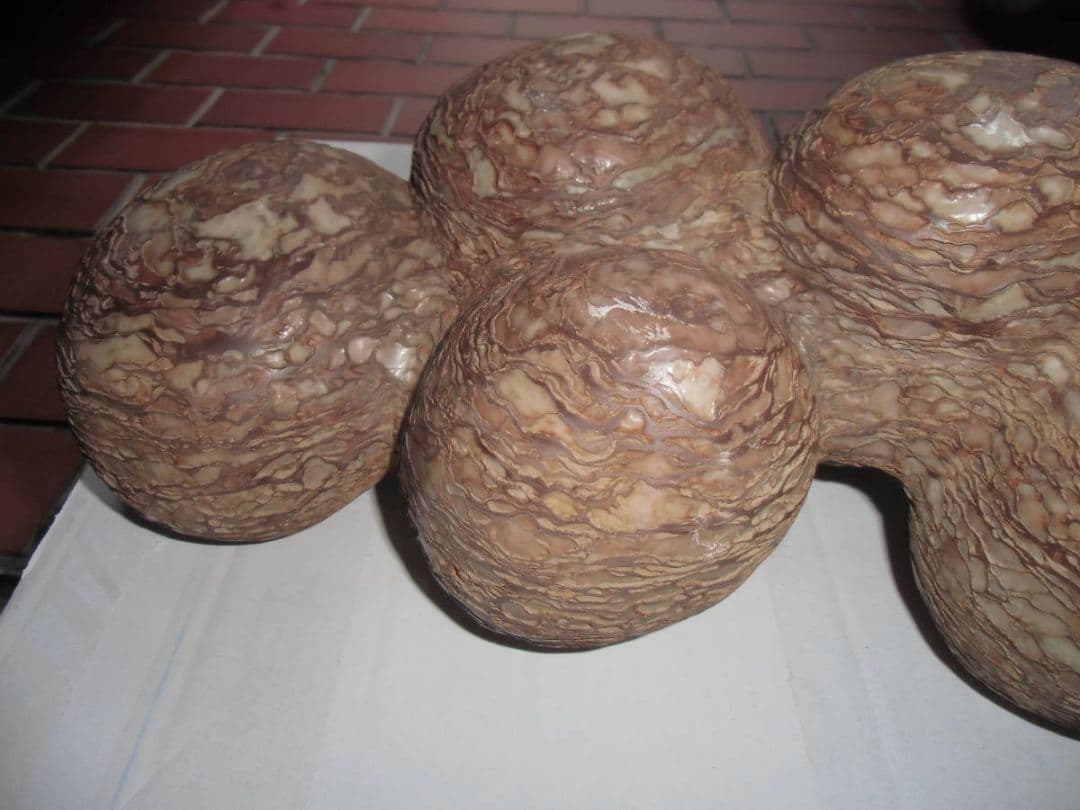 特大 恐竜卵蚕連体の化石