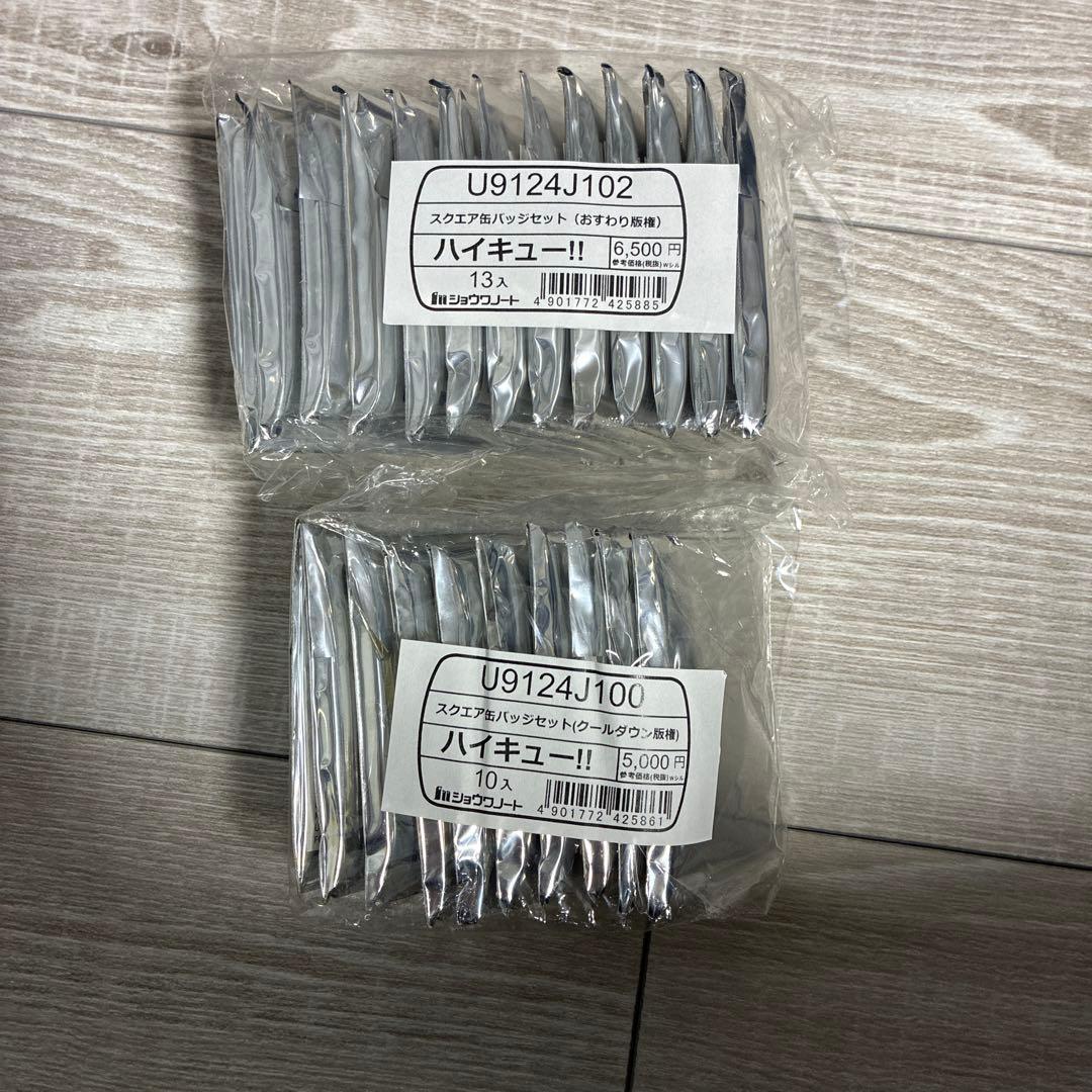 ハイキュー!! スクエア缶バッジ クールダウン おすわり 2種コンプリートセット