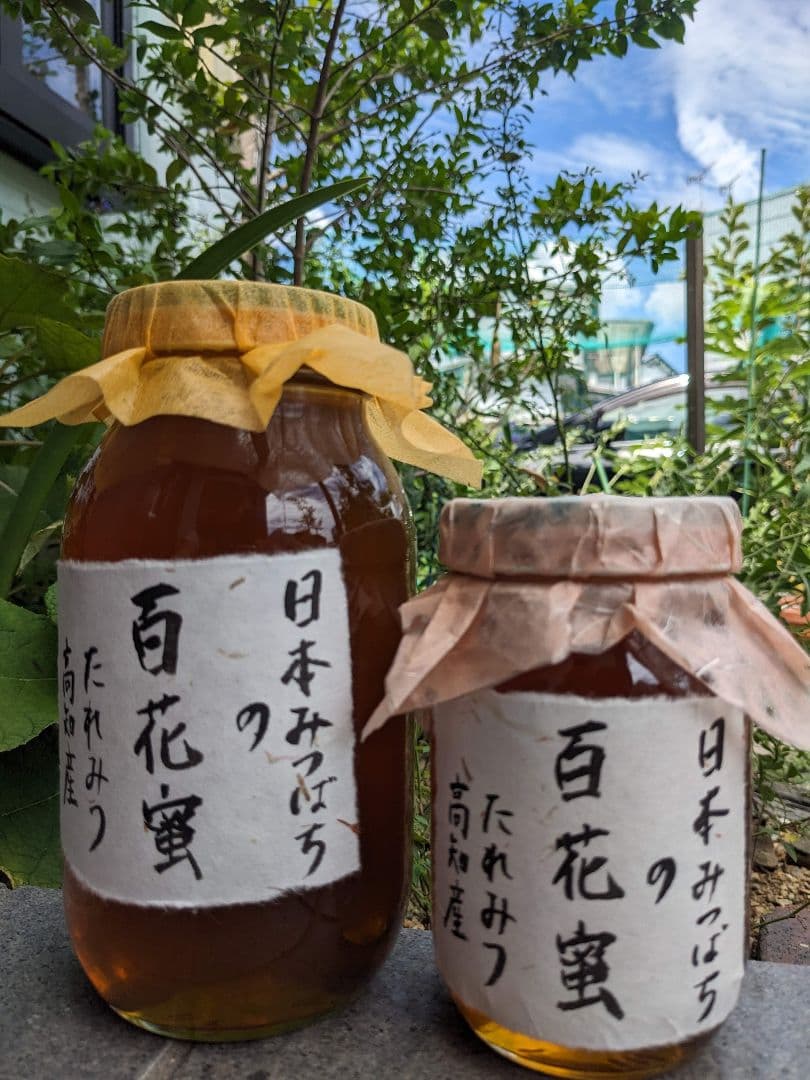日本ミツバチ 蜂蜜 令和7年度 採れたて　たれ蜜　2年もの1200g 非加熱