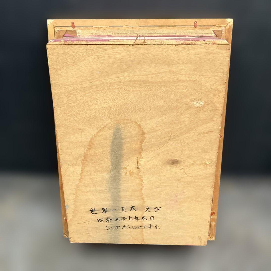 伊勢海老 エビ 剥製 ガラスケース 壁額 壁飾りロブスター標本 大型