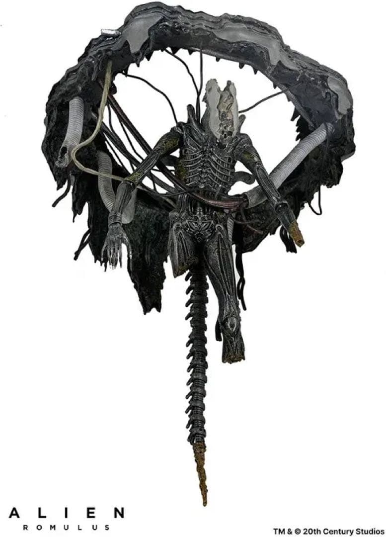 【日本未発売】NECA エイリアン: ロムルス ゼノモーフ XX121