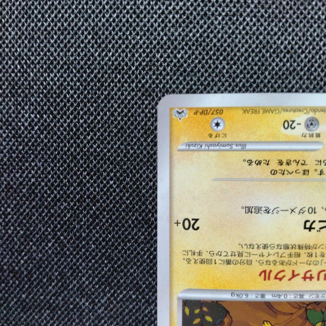 ポケモン ワンデイバトル プロモ バトルロード2007