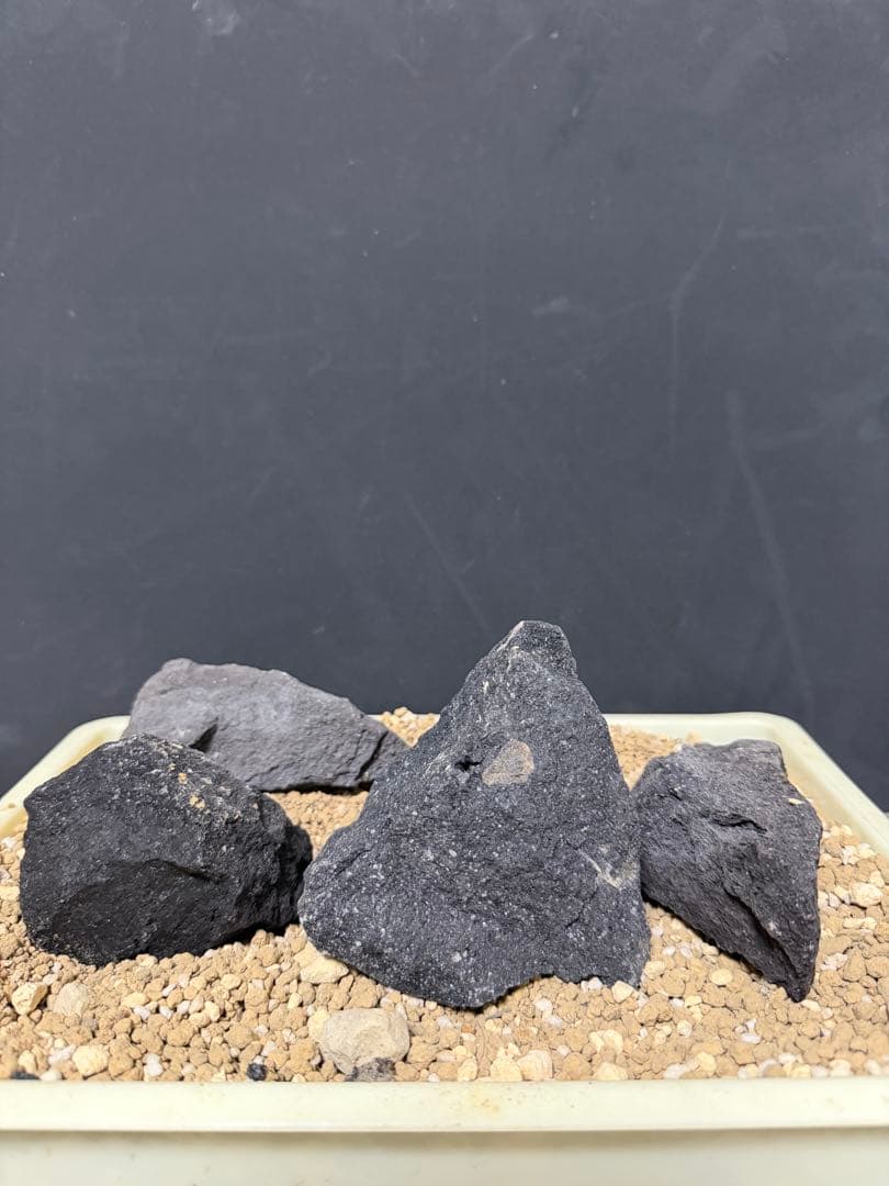 ⑦-7 ADA山水石 組み合わせ！これオススメ！