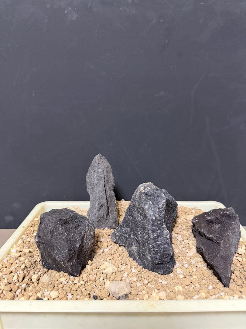 ⑦-7 ADA山水石 組み合わせ！これオススメ！