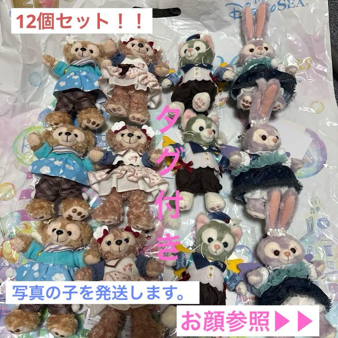 ダッフィー＆フレンズ ウィッシングウィングス ぬいぐるみバッジ12個セット