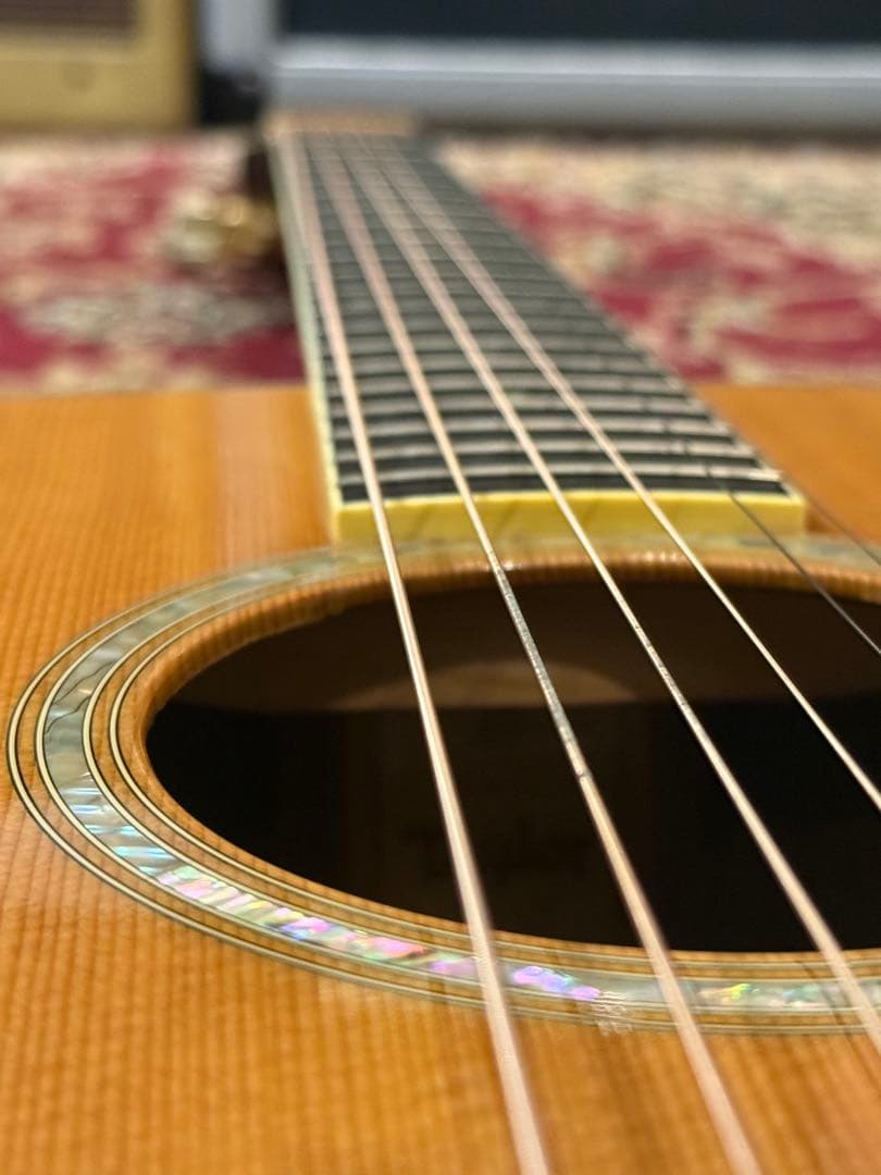 Taylor GS Series 2006年製