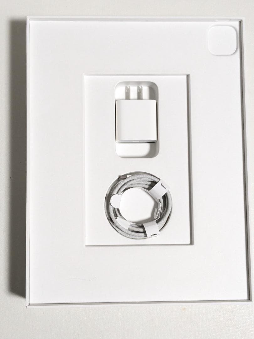 iPad Pro 12.9 第6世代 256GB MNXR3J/A + ペン付き