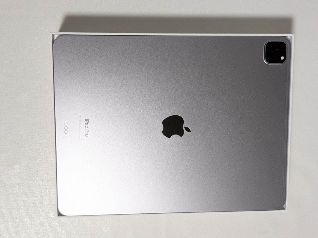 iPad Pro 12.9 第6世代 256GB MNXR3J/A + ペン付き