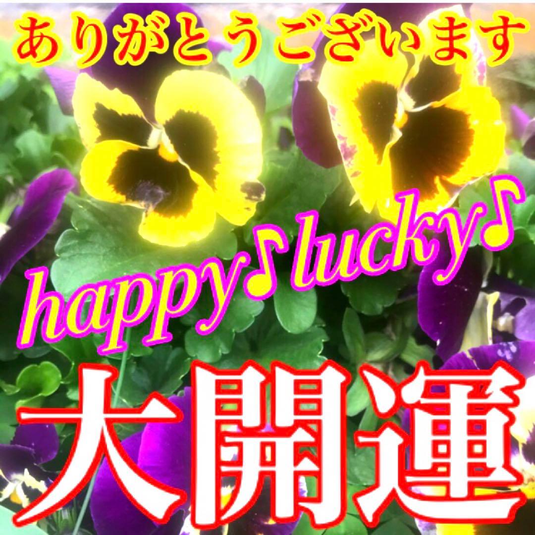 特殊ブレスレット(トレジャーハンター)天然石　心　癒し　精神守護　お守り