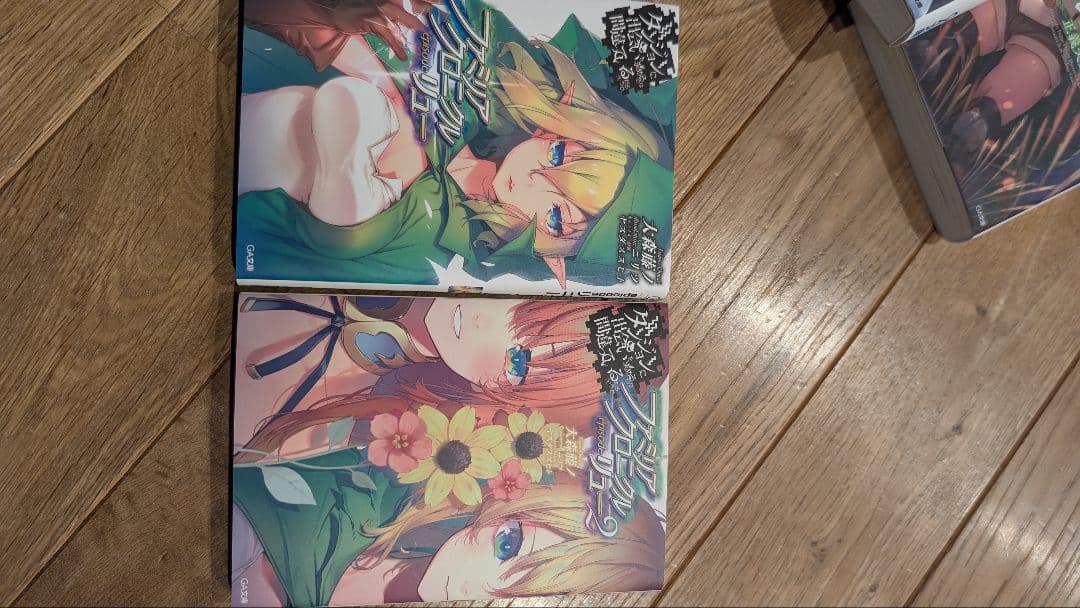 41冊セット ダンジョンに出会いを求めるのは間違っているだろうか ライトノベル