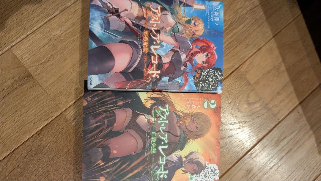 41冊セット ダンジョンに出会いを求めるのは間違っているだろうか ライトノベル