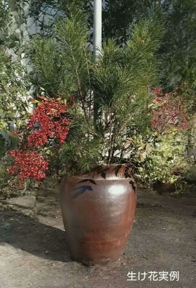 骨董　陶器製　水瓶　みずがめ