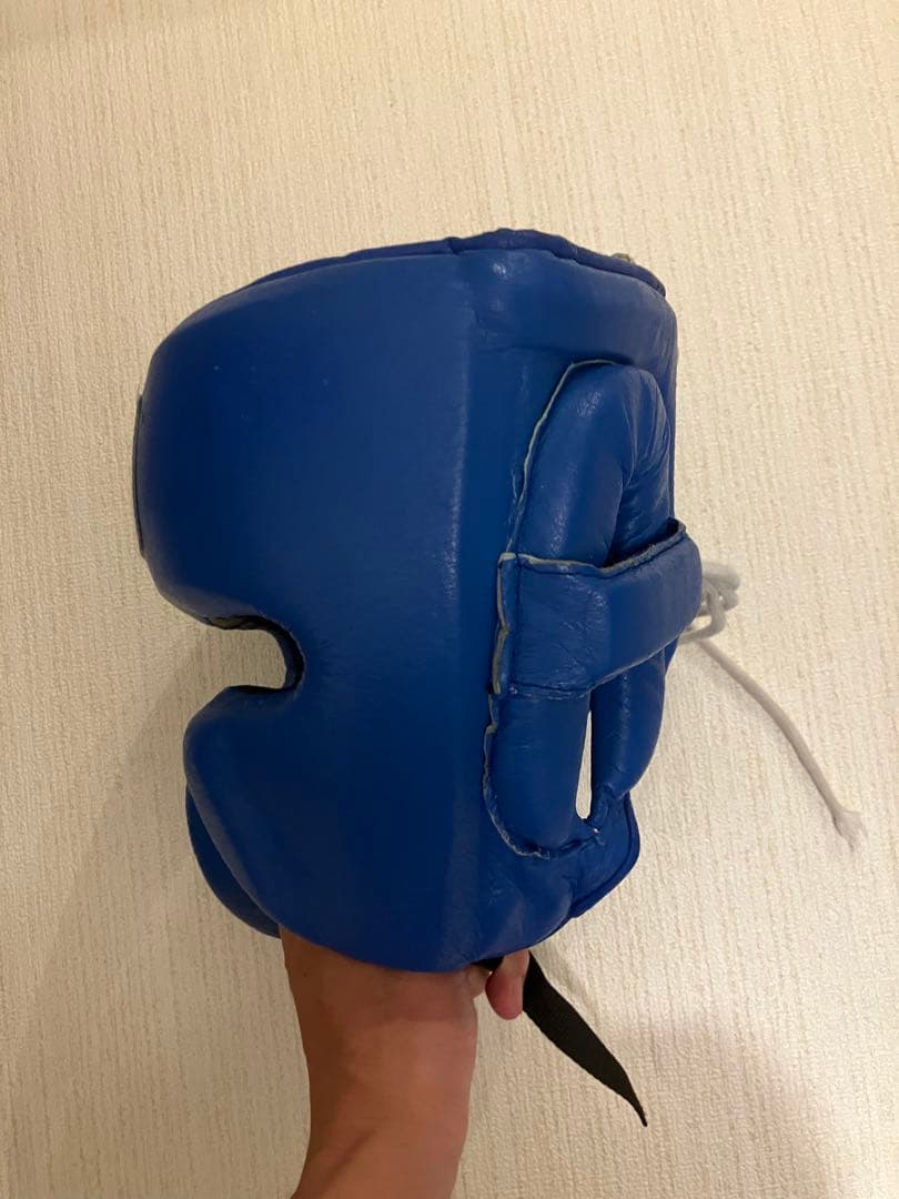 Winning ヘッドギア フルフェイスタイプ ブルー L FG-2900