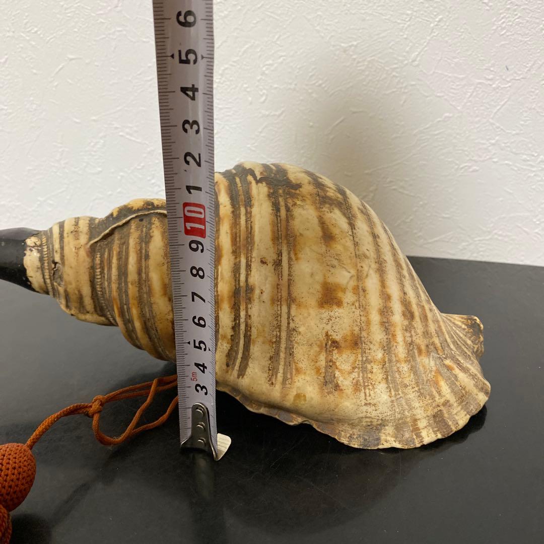 時代物 法螺貝 密教法具 武具 甲冑