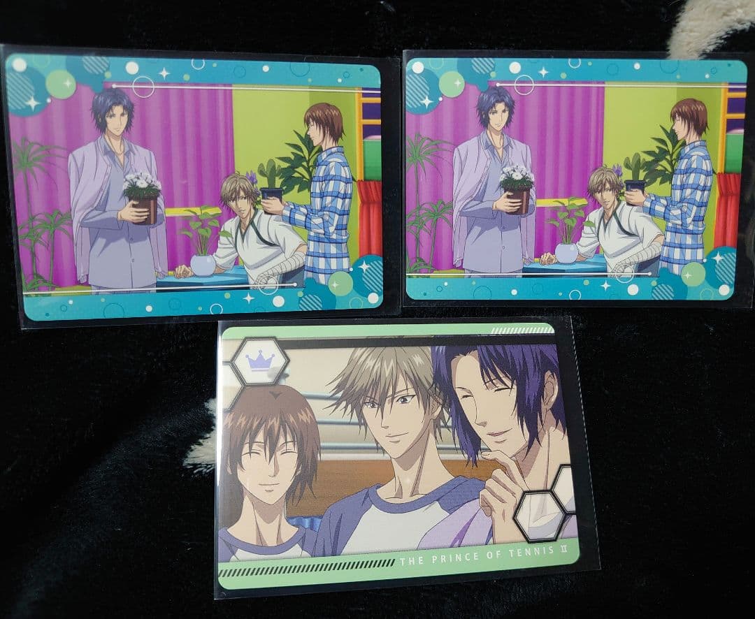 テニスの王子様 トレカ 書店の王子様 植物組